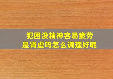 犯困没精神容易疲劳是肾虚吗怎么调理好呢