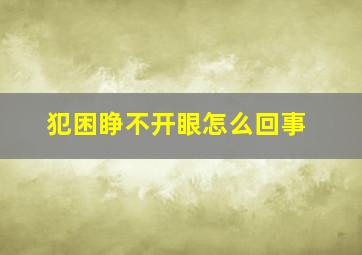 犯困睁不开眼怎么回事