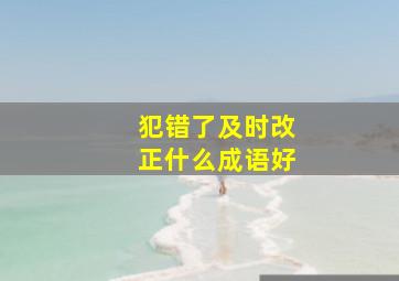 犯错了及时改正什么成语好