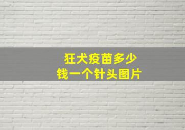 狂犬疫苗多少钱一个针头图片