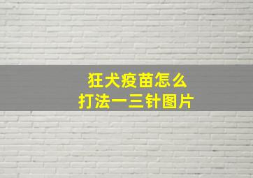 狂犬疫苗怎么打法一三针图片