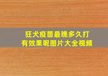 狂犬疫苗最晚多久打有效果呢图片大全视频