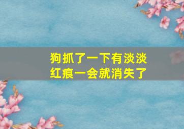 狗抓了一下有淡淡红痕一会就消失了