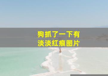 狗抓了一下有淡淡红痕图片