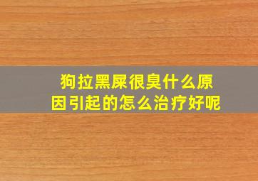 狗拉黑屎很臭什么原因引起的怎么治疗好呢