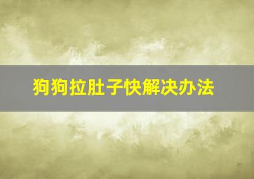 狗狗拉肚子快解决办法