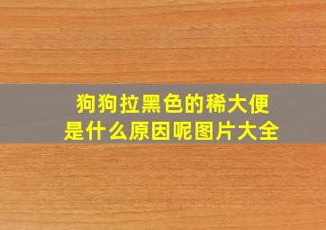 狗狗拉黑色的稀大便是什么原因呢图片大全