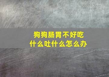 狗狗肠胃不好吃什么吐什么怎么办