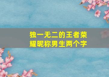 独一无二的王者荣耀昵称男生两个字