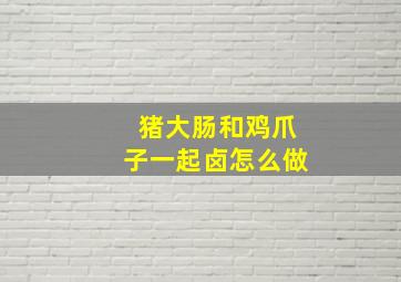 猪大肠和鸡爪子一起卤怎么做