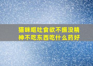 猫咪呕吐食欲不振没精神不吃东西吃什么药好