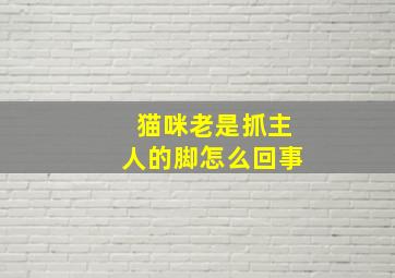 猫咪老是抓主人的脚怎么回事