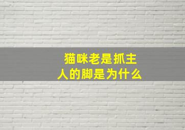 猫咪老是抓主人的脚是为什么