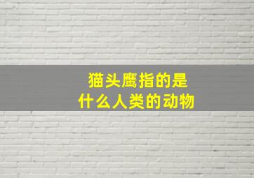 猫头鹰指的是什么人类的动物