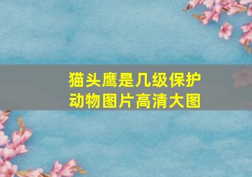 猫头鹰是几级保护动物图片高清大图