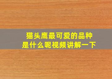 猫头鹰最可爱的品种是什么呢视频讲解一下