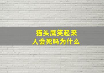 猫头鹰笑起来人会死吗为什么