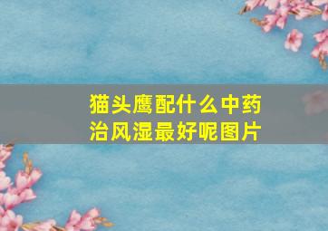 猫头鹰配什么中药治风湿最好呢图片