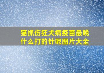 猫抓伤狂犬病疫苗最晚什么打的针呢图片大全