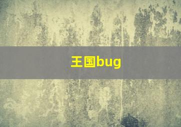 王国bug