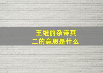 王维的杂诗其二的意思是什么