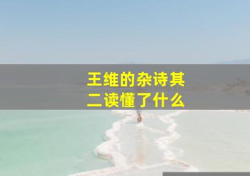 王维的杂诗其二读懂了什么