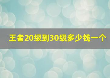 王者20级到30级多少钱一个