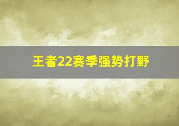 王者22赛季强势打野