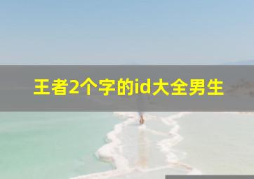 王者2个字的id大全男生