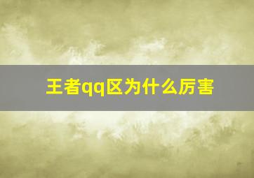 王者qq区为什么厉害