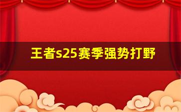 王者s25赛季强势打野