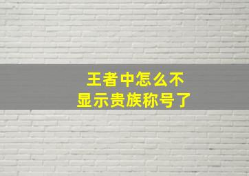 王者中怎么不显示贵族称号了