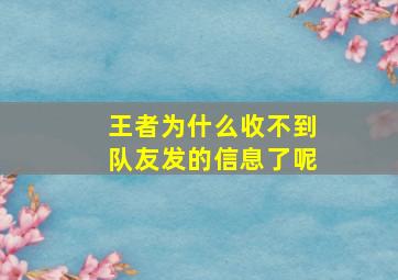 王者为什么收不到队友发的信息了呢