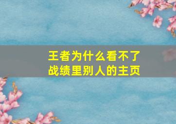 王者为什么看不了战绩里别人的主页