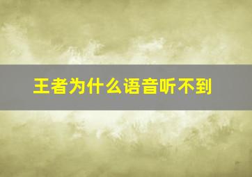 王者为什么语音听不到