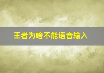 王者为啥不能语音输入