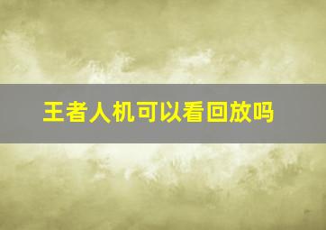 王者人机可以看回放吗