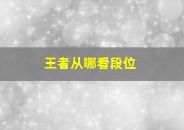 王者从哪看段位