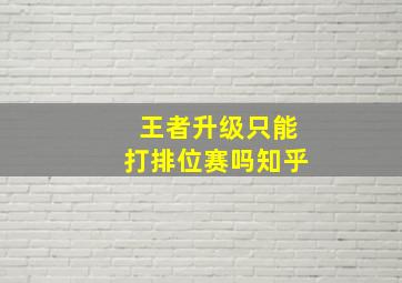 王者升级只能打排位赛吗知乎