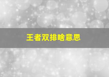 王者双排啥意思