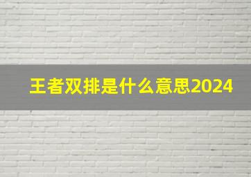 王者双排是什么意思2024