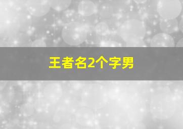 王者名2个字男