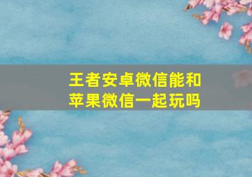 王者安卓微信能和苹果微信一起玩吗