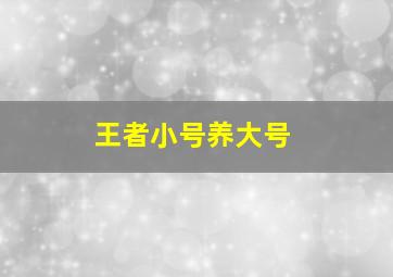 王者小号养大号