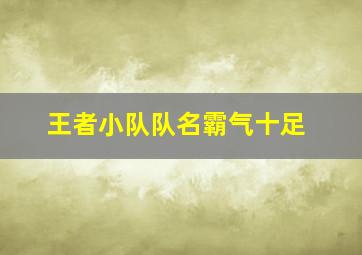 王者小队队名霸气十足