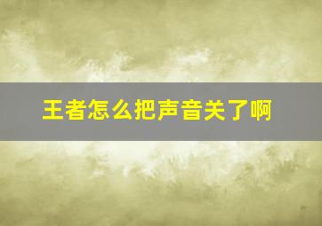 王者怎么把声音关了啊