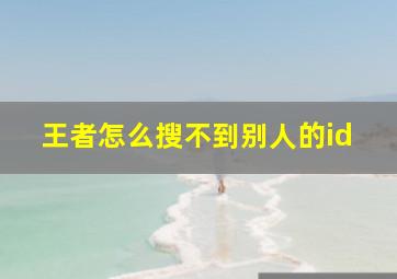 王者怎么搜不到别人的id