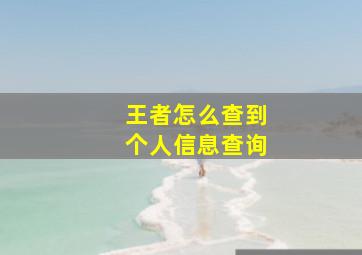 王者怎么查到个人信息查询