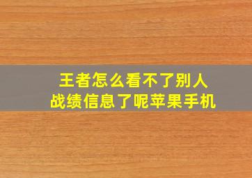 王者怎么看不了别人战绩信息了呢苹果手机