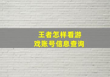 王者怎样看游戏账号信息查询